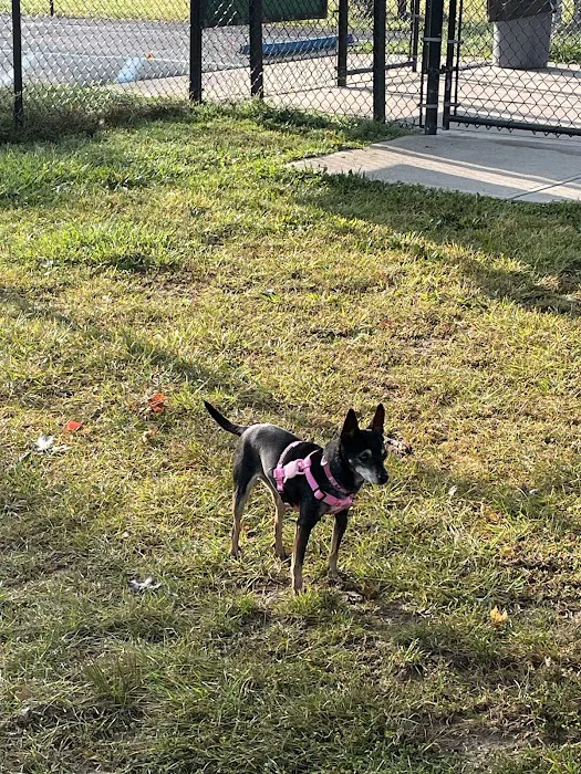 Perry County Animal Hospital 5
