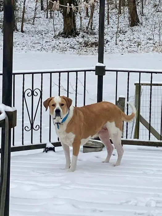 Perry County Animal Hospital 1
