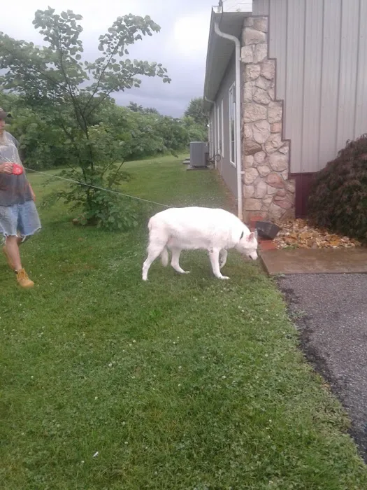 Perry County Animal Hospital 9