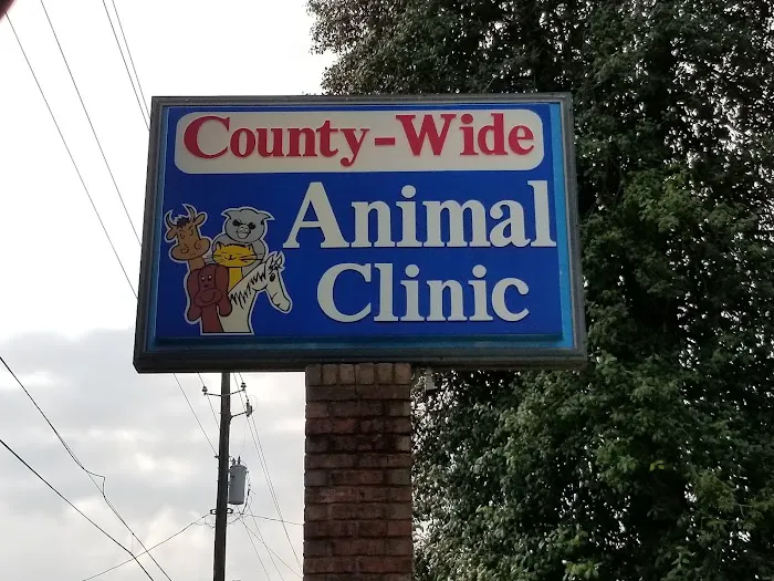 County Wide Animal Clinic 8