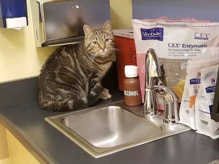 U-Vet Animal Clinic 7