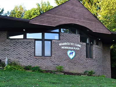 Warrick Veterinary Clinic Preventative Care Center 3