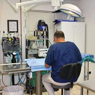 Warrick Veterinary Clinic - Newburgh Plaza 5