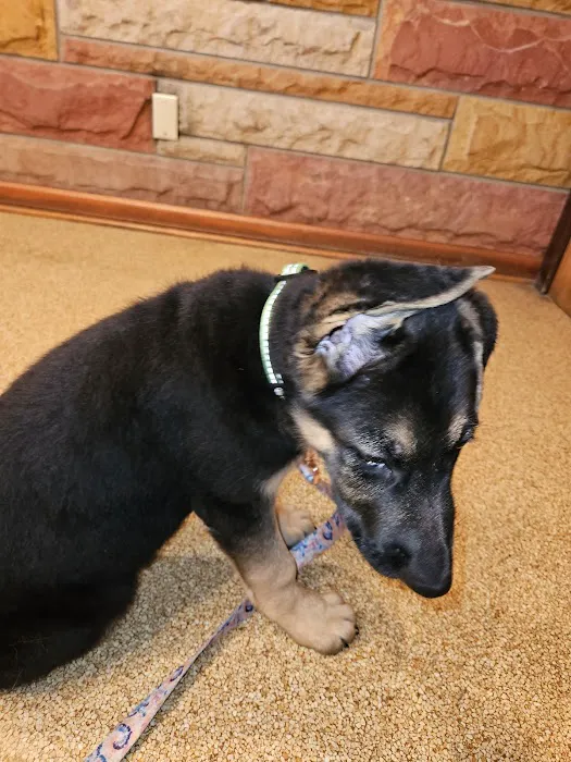 VCA Parkdale Animal Hospital 9