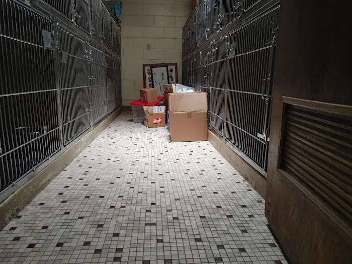 Chateau Dog & Cat Hospital 2