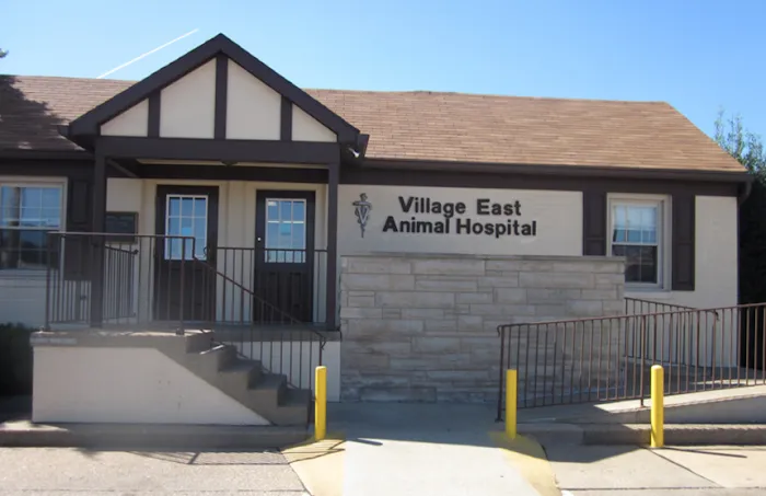 Village East Animal Hospital 10