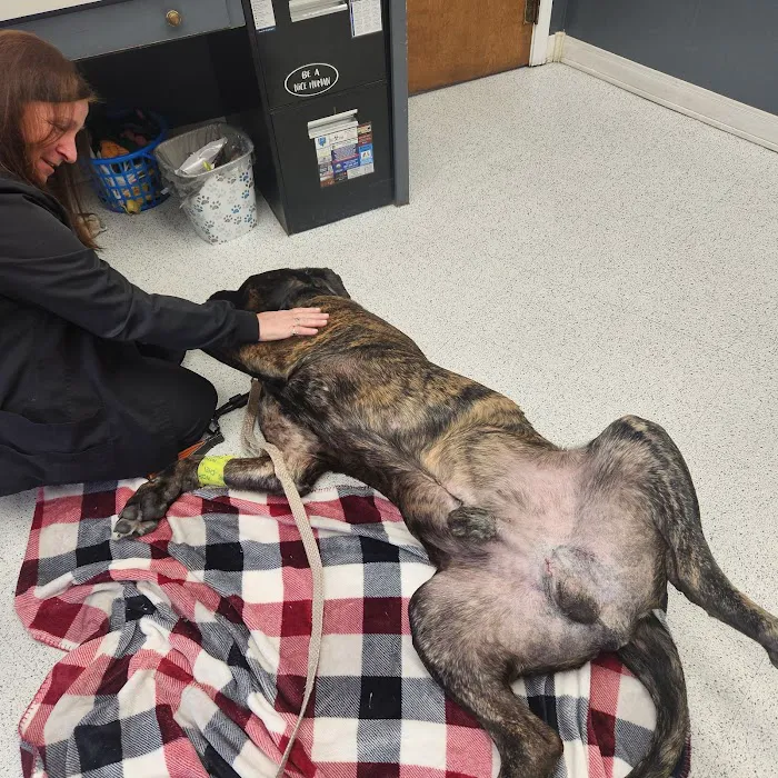 Urbana Veterinary Clinic 9