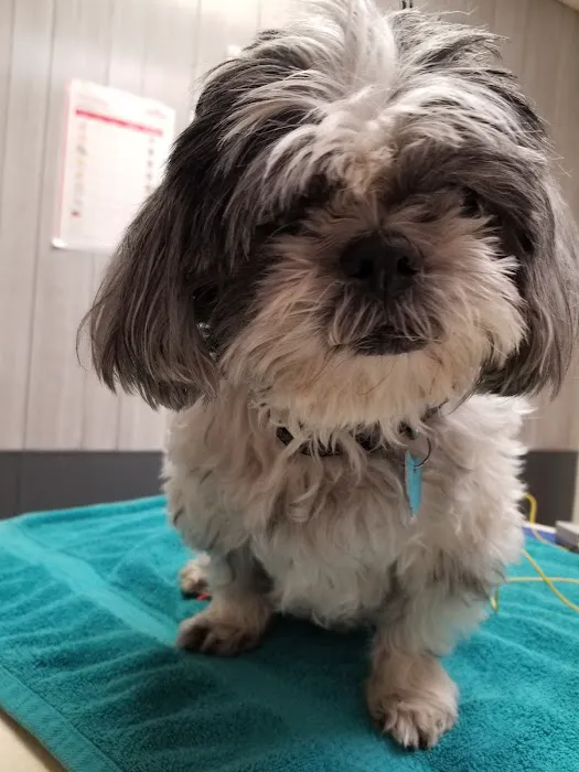 Urbana Veterinary Clinic 1