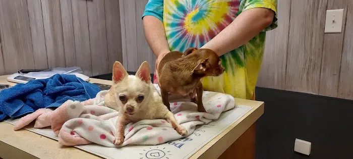 Urbana Veterinary Clinic 3