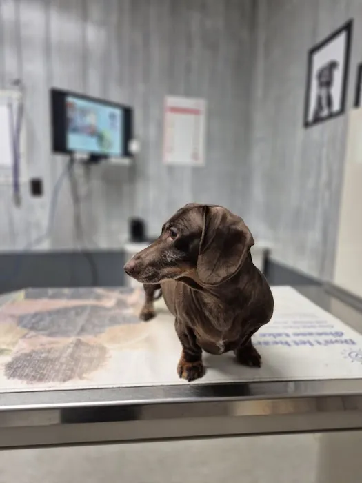Urbana Veterinary Clinic 4