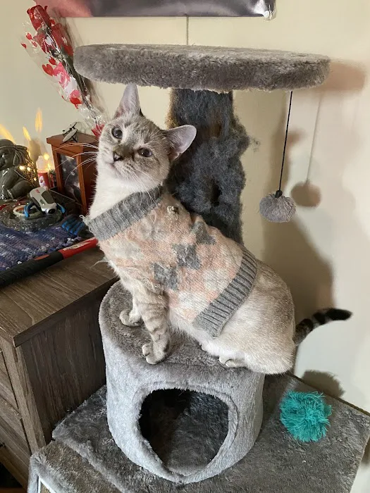 Urbana Veterinary Clinic 8