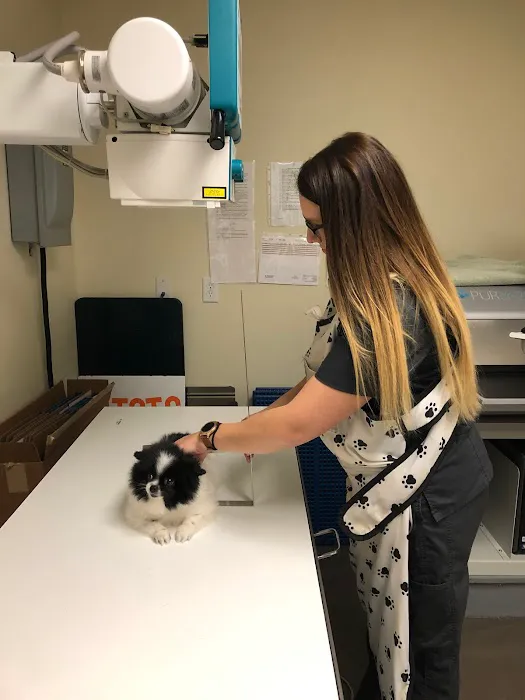The Pet Clinic of Urbana 10