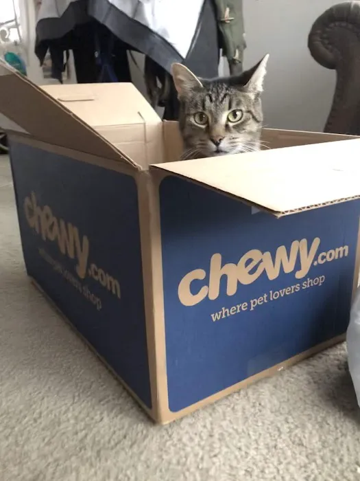 Chewy Pharmacy 4