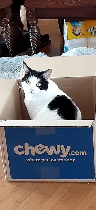 Chewy Pharmacy 2