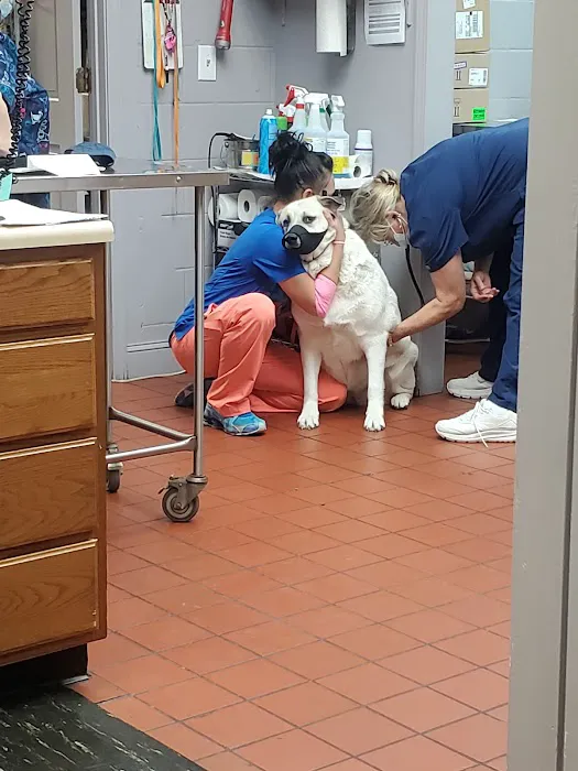 Preston Animal Hospital 8