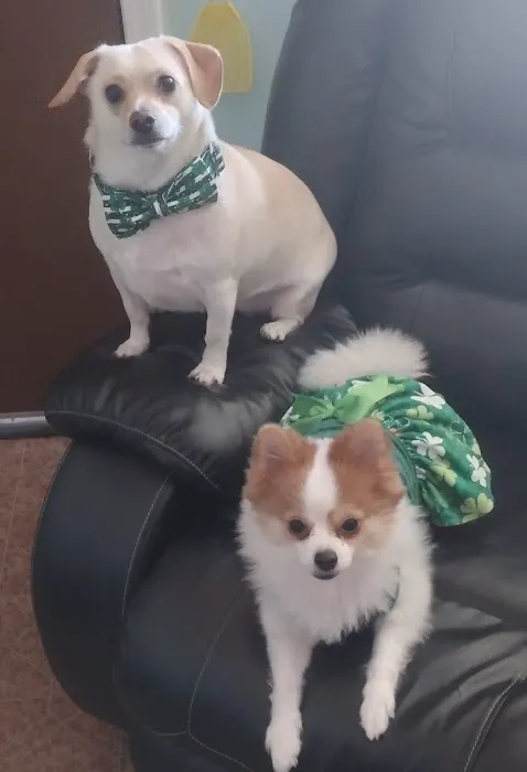 Preston Animal Hospital 3