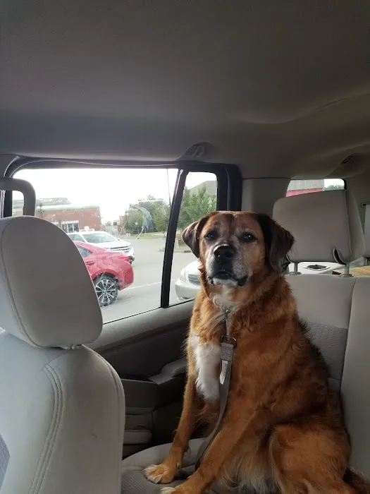 Preston Animal Hospital 4