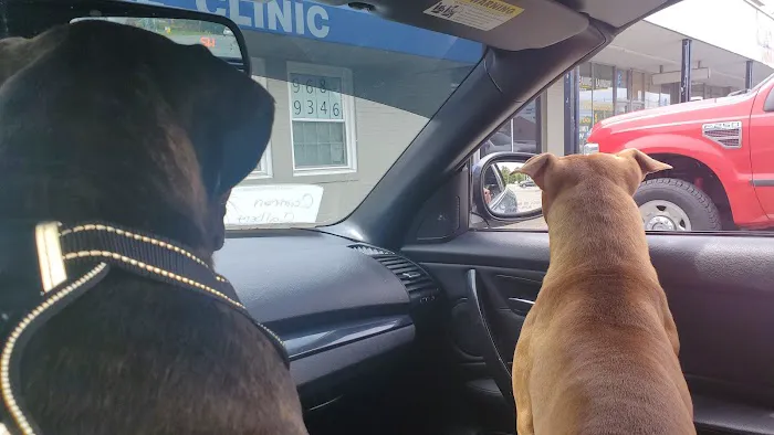 Davis Animal Clinic 1