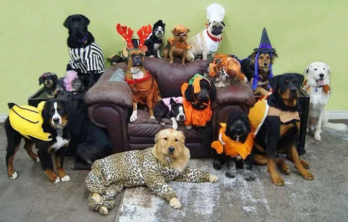 Hillview Animal Hospital & Clinic 3
