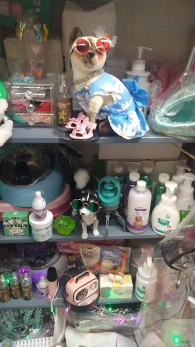 The Mexican Pet Shop 7