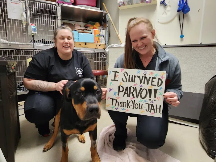 Jefferson Animal Hospital & Regional Emergency Center 3