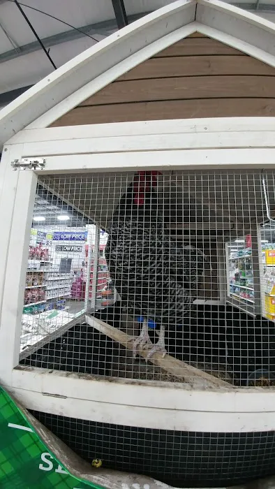 Country Critters Veterinary Clinic 7