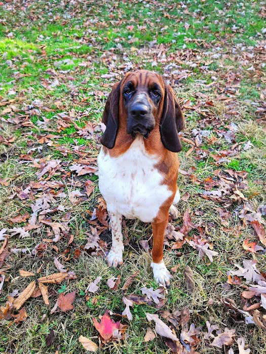 Roe-Burke Veterinary Services 5