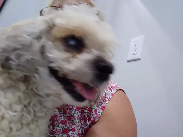 Roe-Burke Veterinary Services 4