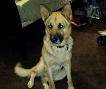 Hardinsburg Animal Clinic