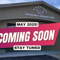 K-9 Kountry A Dog Wellness & Enrichment Center ico