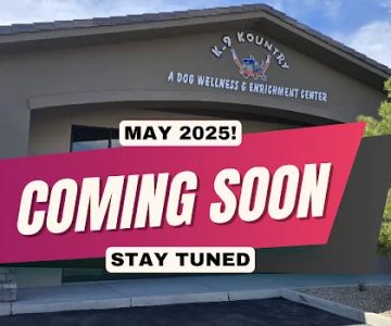K-9 Kountry A Dog Wellness & Enrichment Center