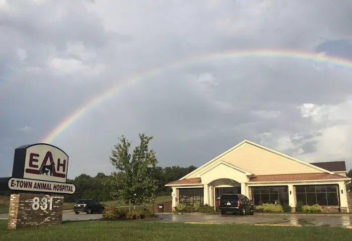 Elizabethtown Animal Hospital Inc 4