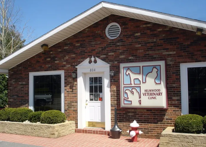 Helmwood Veterinary Clinic 10