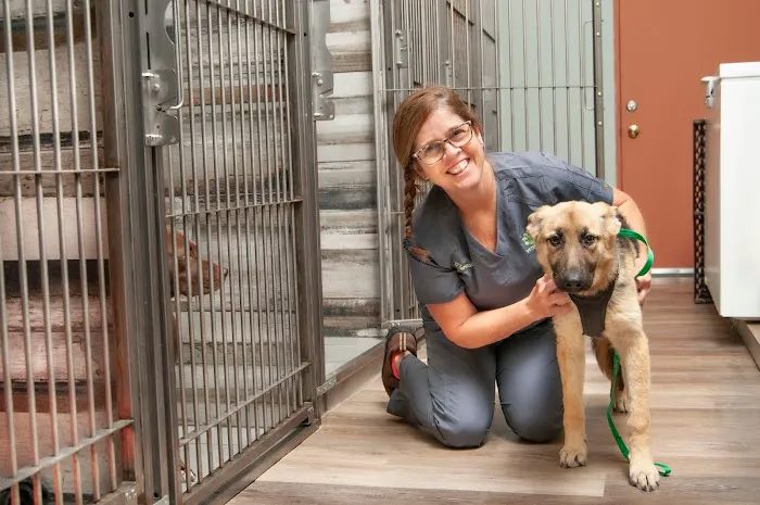 Salt River Animal Hospital 5