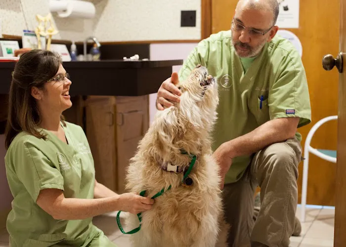 Salt River Animal Hospital 10