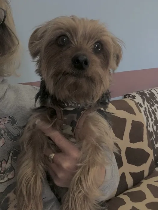 Salt River Animal Hospital 6