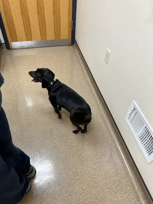 Town & Country Veterinary Center 4