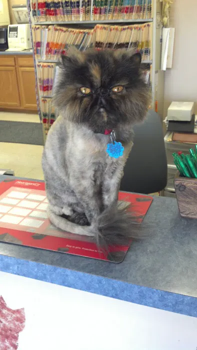 Town & Country Veterinary Center 6