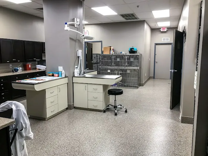 All Pets Veterinary Clinic 1