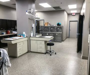 All Pets Veterinary Clinic