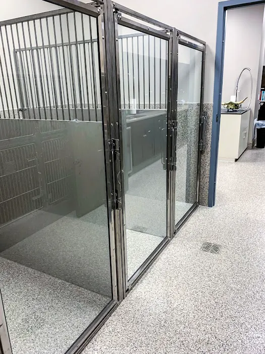All Pets Veterinary Clinic 10