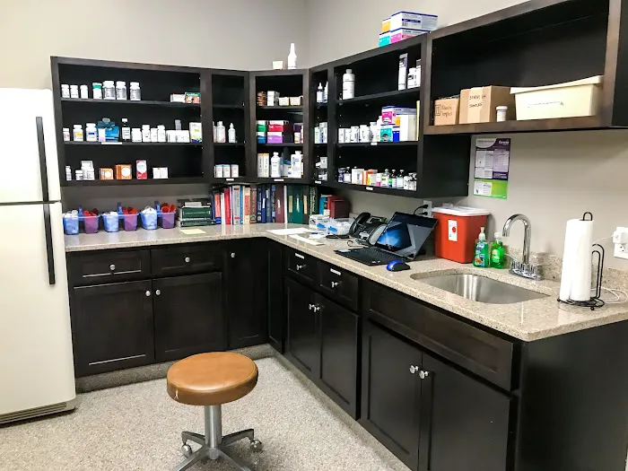 All Pets Veterinary Clinic 6