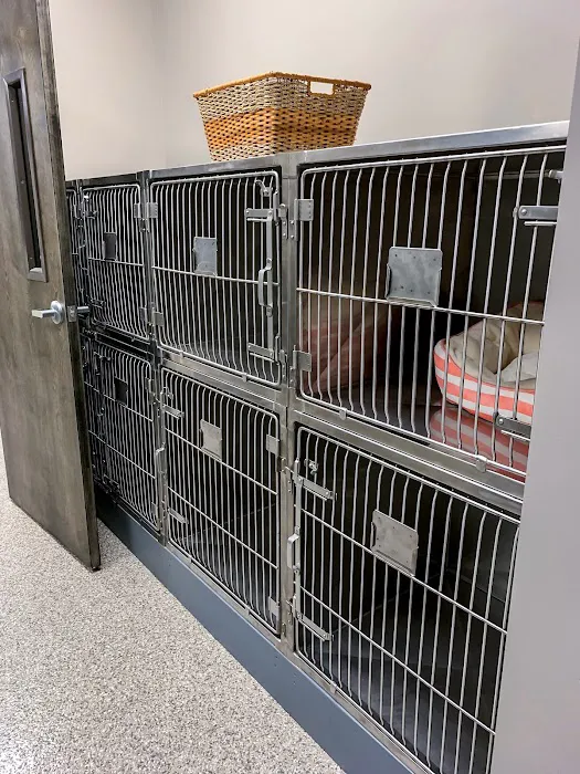 All Pets Veterinary Clinic 4