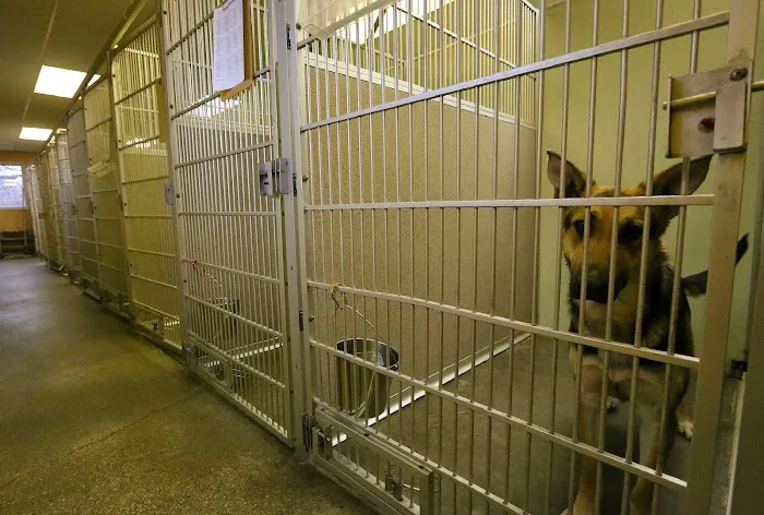 Frankfort Animal Clinic 10