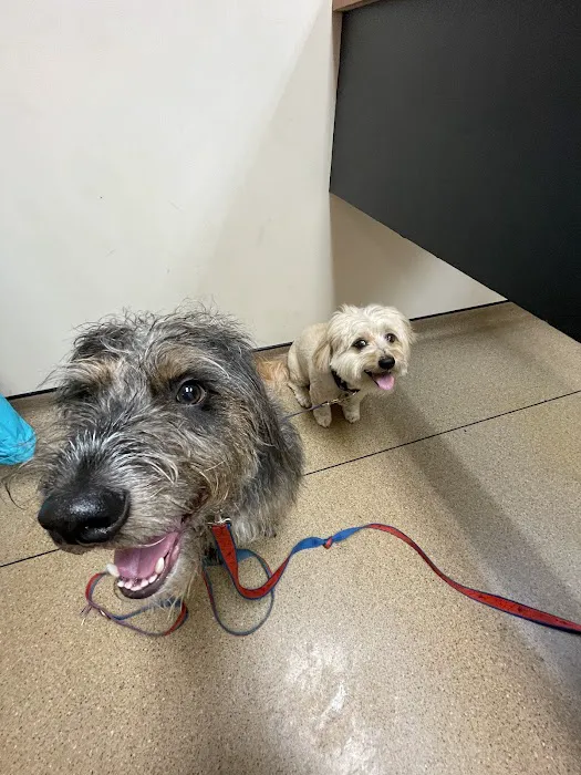 Frankfort Animal Clinic 5