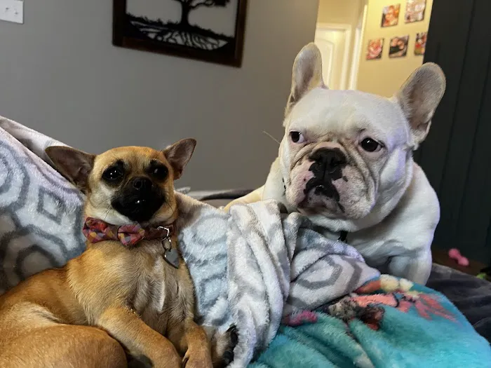 Frankfort Animal Clinic 3