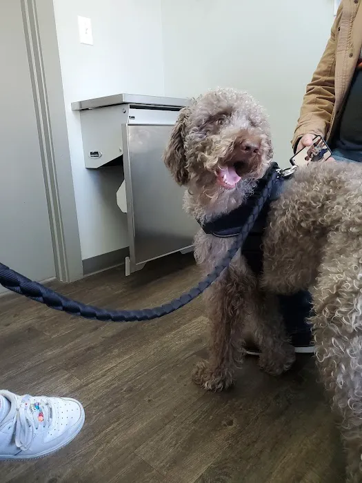 Elk Creek Animal Hospital of Bullitt County 2