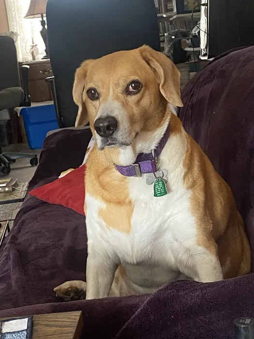 Elk Creek Animal Hospital of Bullitt County 3