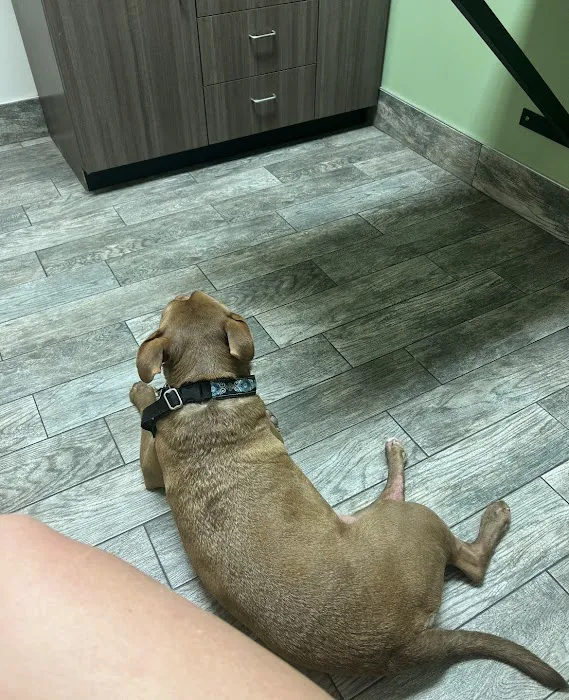 Hopewell Animal Hospital 9