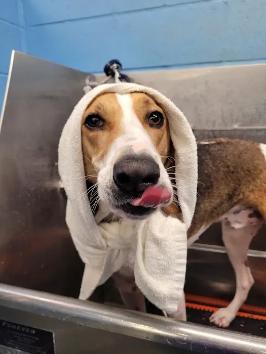 Hopewell Animal Hospital 7